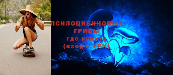 a pvp Абаза