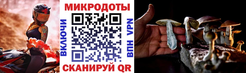 Псилоцибиновые грибы Psilocybine cubensis  как найти наркотики  Алейск 
